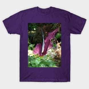 Oregon "Passionflower" #10 T-Shirt